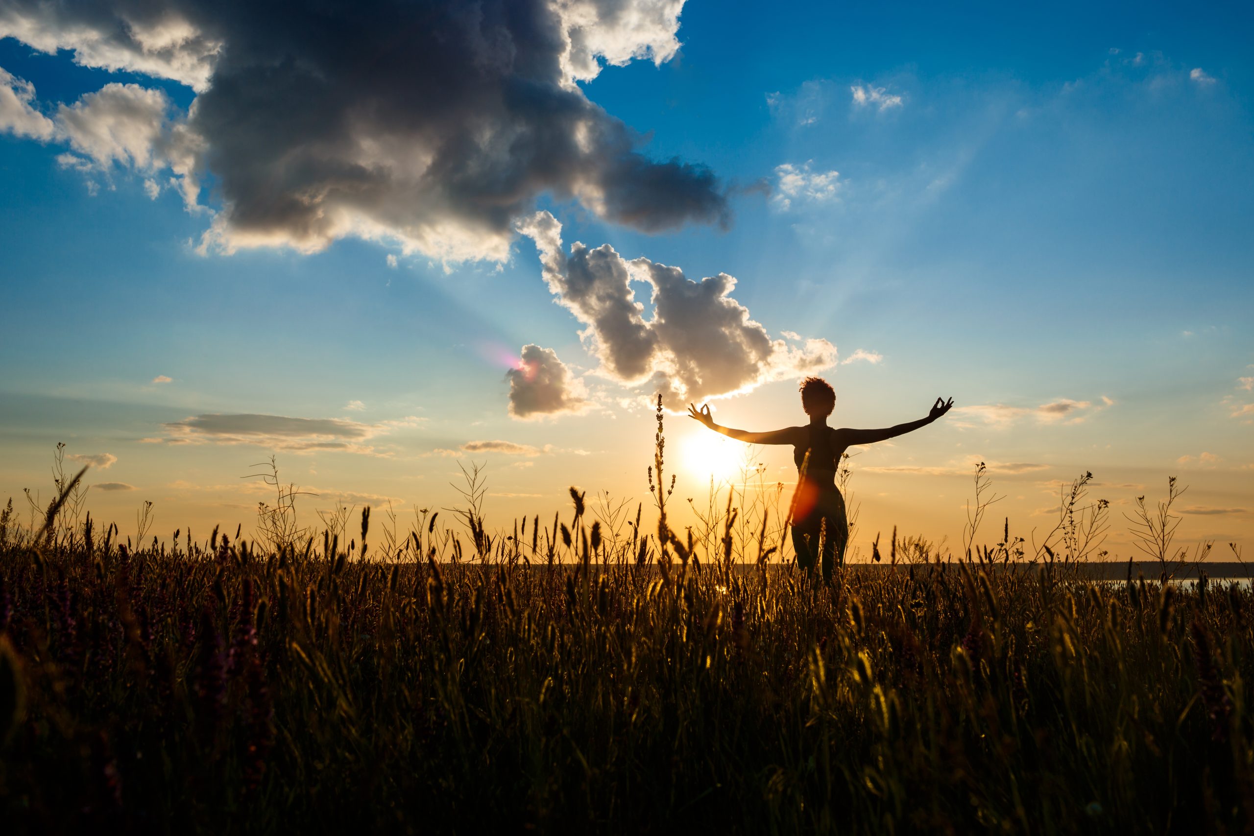 Silhouette of young beautiful sportive girl practicing yoga in field at sunrise.